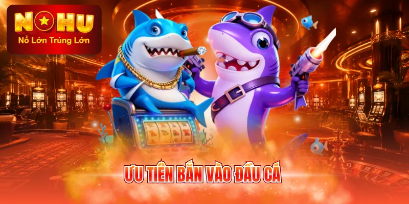 Ưu tiên bắn vào đầu cá
