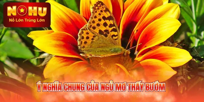 Ý nghĩa chung của ngủ mơ thấy bướm